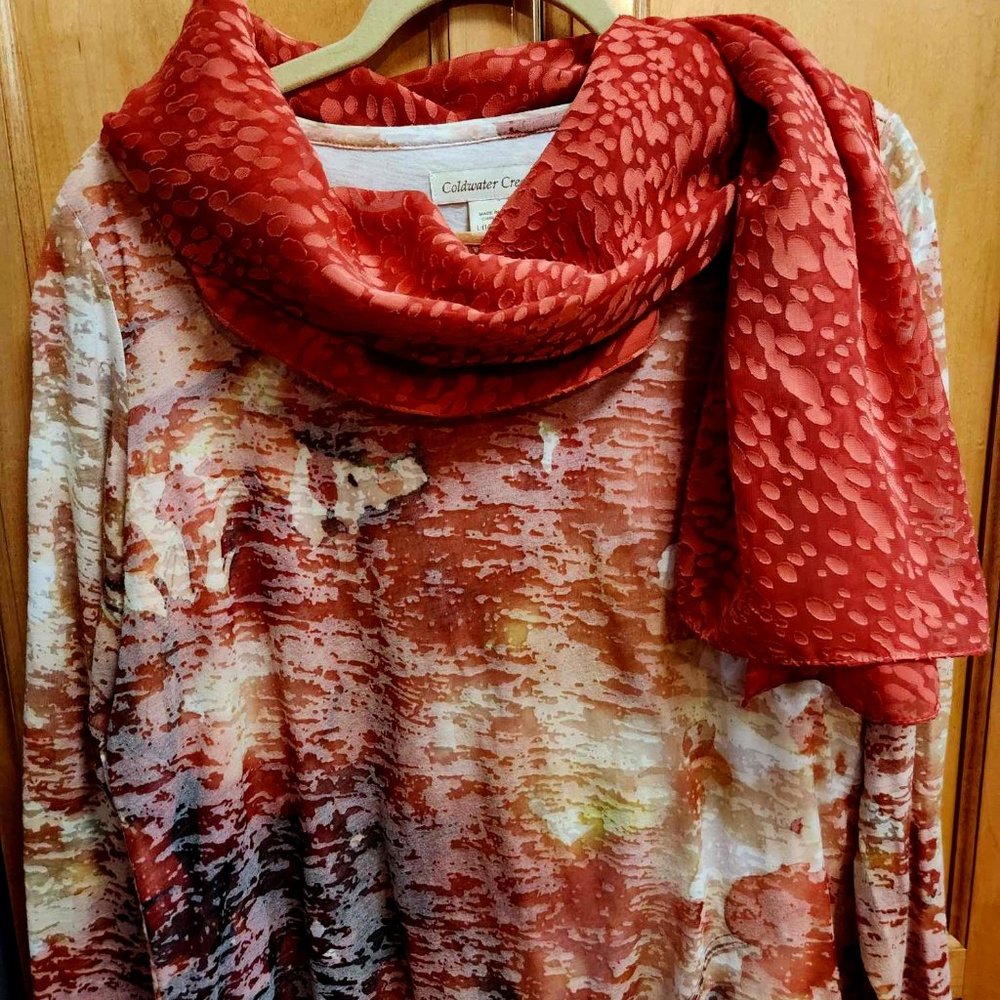 Coldwater Creek Fall colors Burn-out top and Burn-out Orange scarf